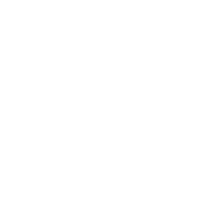 picto-surveillance